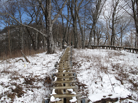 20160218hike (226)